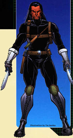 File:DDP-Spirit.jpg