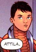 DDP-Attila