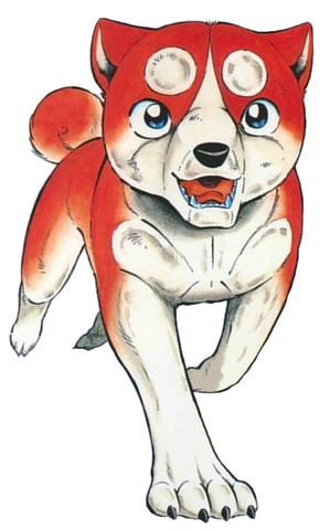 Datei:Orion.png