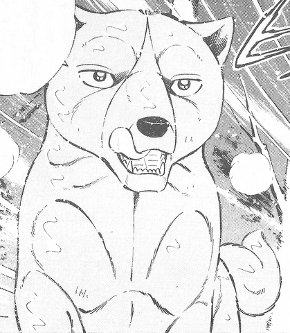 Datei:RaraGDWO.png