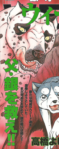 Datei:HogenMyFirstBigCover.png