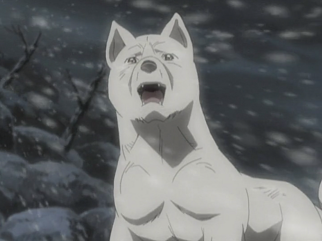 Datei:Akame Anime9.png