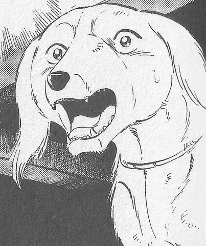 Datei:CrossGDWManga.png