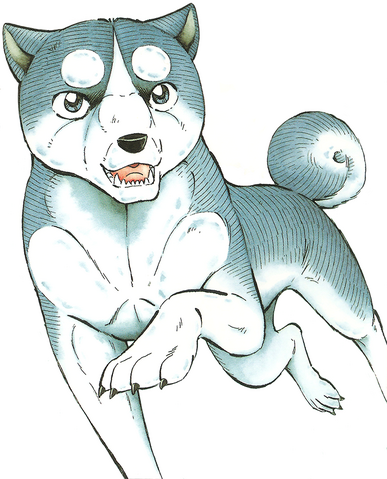 Datei:WeedTLW1Cover.png