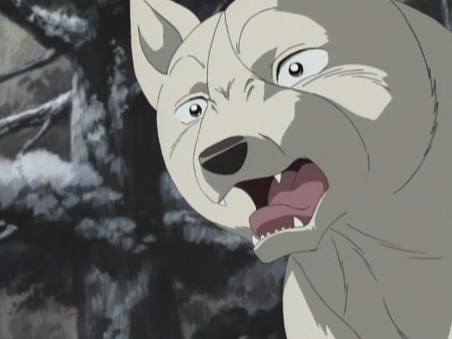 Datei:Akame Anime3.png