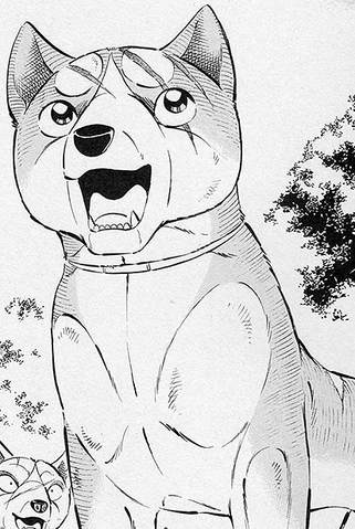 Datei:JoeGDWManga.png
