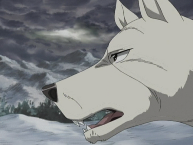 Datei:Akame Anime8.png