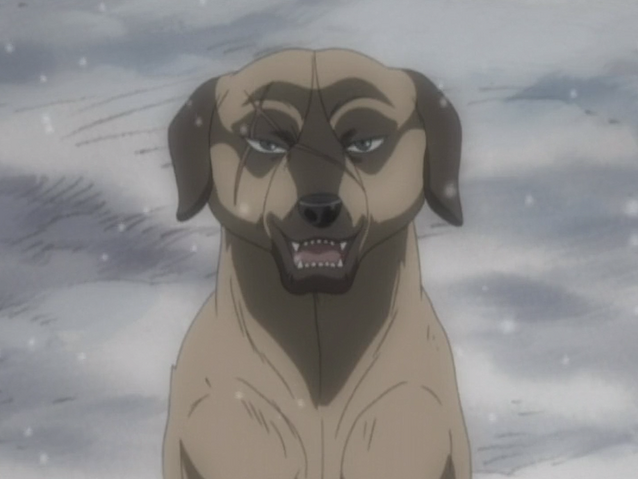 Datei:Buruge Anime4.png