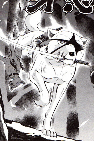 Datei:AkameGanin.jpg