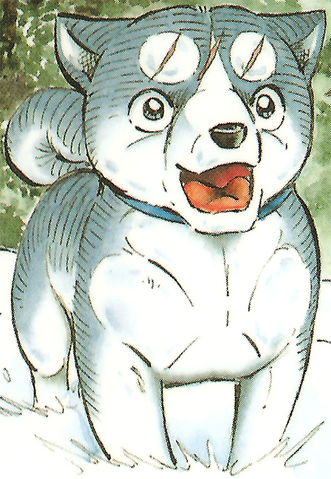 Datei:GinGDRCover2.png