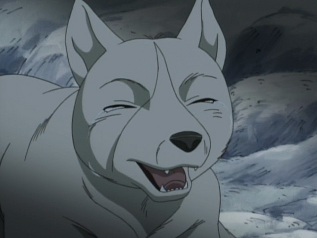 Datei:Akame Anime1.png