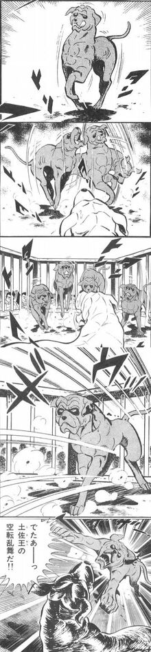Kuutenranbu all-1-