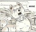 Thumbnail for version as of 08:57, June 5, 2011