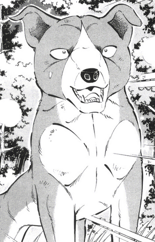 Файл:Tabo.png