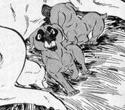 BCPups001