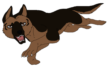 Fallon (adult) - Kopia