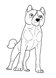 Shimo