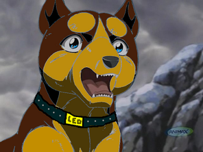 Leo