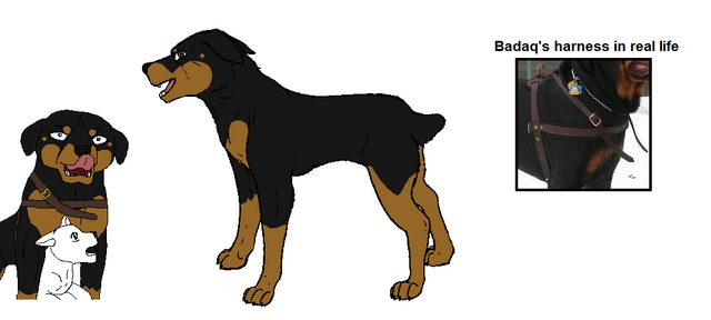 File:Badaq.png
