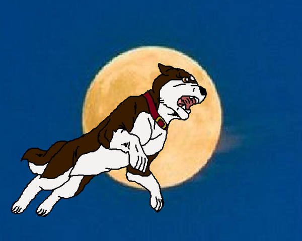 File:Kayla.png