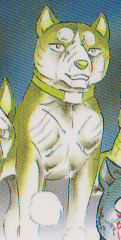 File:Rikimangahaamu.png