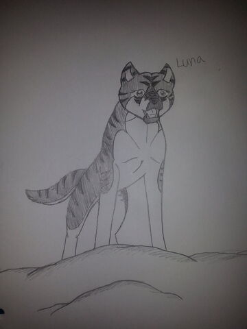 File:Gda luna by nightshade2k16-da9iikn.jpg