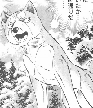 Yukimura (RAW)
