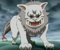 Sadaharu-big-frt.jpg