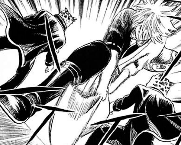 Plik:Sakata 01.jpg