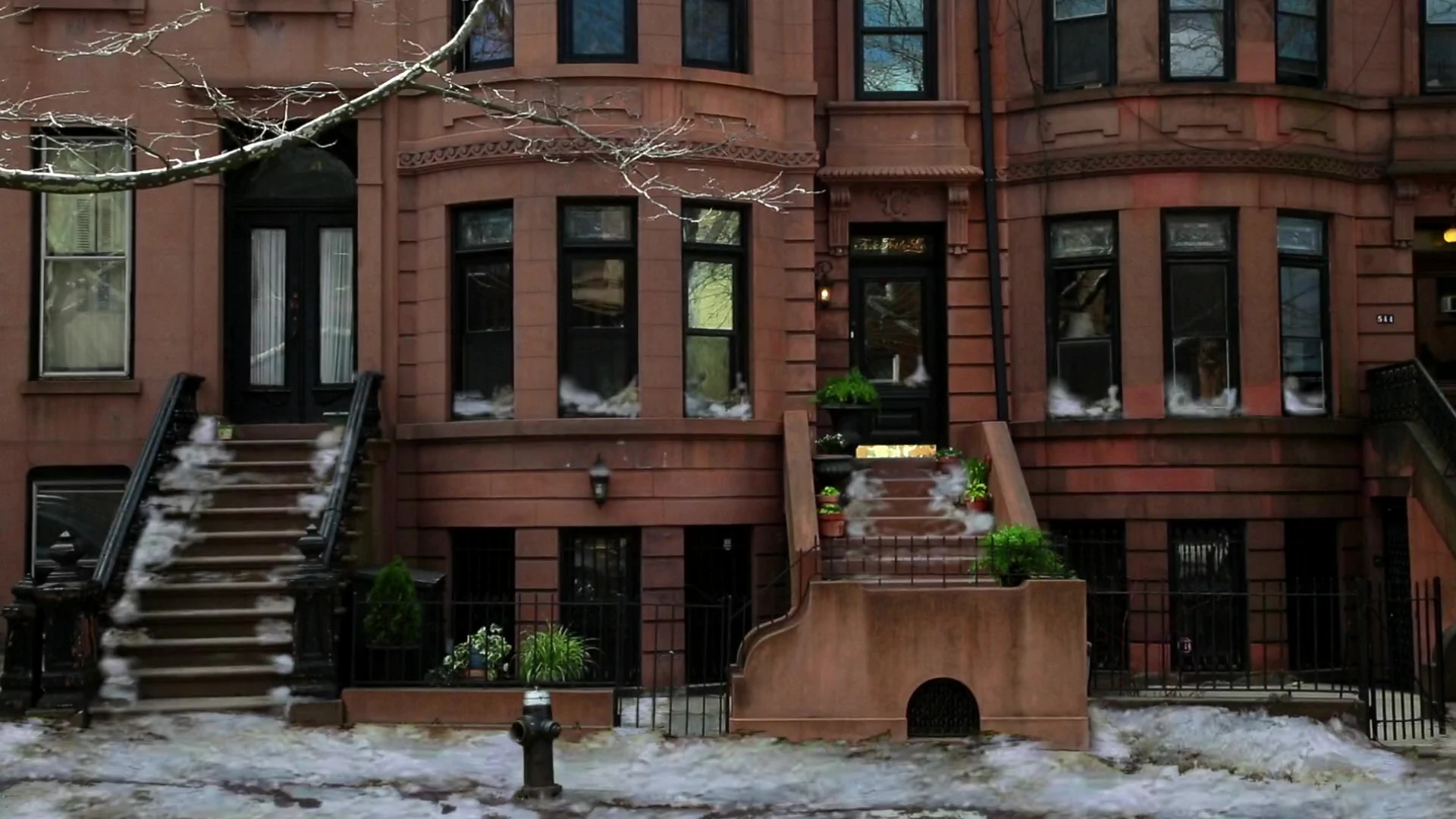 Image The Matthews' Apartment Girl Meets the New Year.jpg Girl