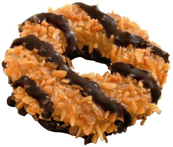 File:Samoas.jpg