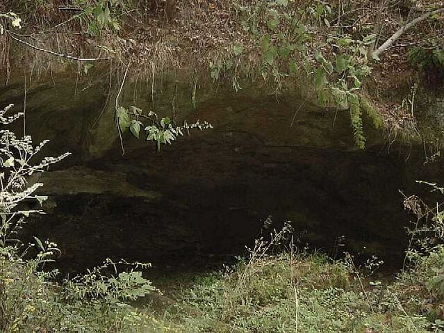 File:Foxes.jpg