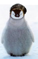 Thumbnail for version as of 03:17, January 23, 2012