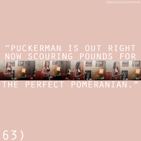 File:Tumblr lkk0njzxuX1qi2r47o1 500.png