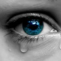 Thumbnail for version as of 23:20, July 3, 2012