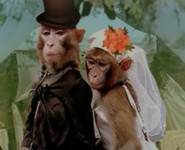 File:MonkeysRHGS.png