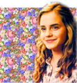 Thumbnail for version as of 01:08, May 17, 2011