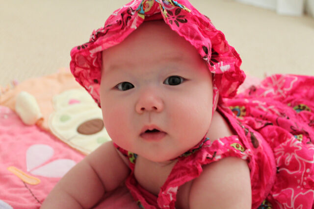 File:4154304687 f1f7f899ec b-1-.jpg
