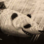 File:KERWIN.png