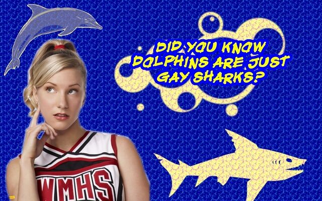 File:Britt-gay-sharks-D-brittany-12424051-1280-800.jpg