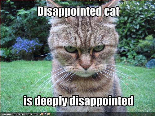 File:Catfulljjjs.jpg