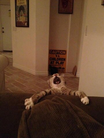 File:Reaction - Crazy! 1.jpg
