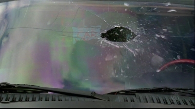 File:Normal 1224.jpg