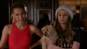640px-5x19PezberryBroadwayBitches.jpg