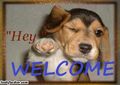 Thumbnail for version as of 02:54, August 16, 2011