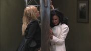 Glee202-00378