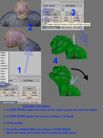 File:3-Rigging your mesh.jpg
