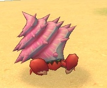 File:Spiral Crab.jpg