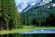 Wilderness