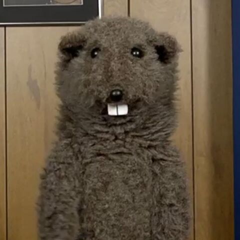 File:Fafa the Groundhog.jpg